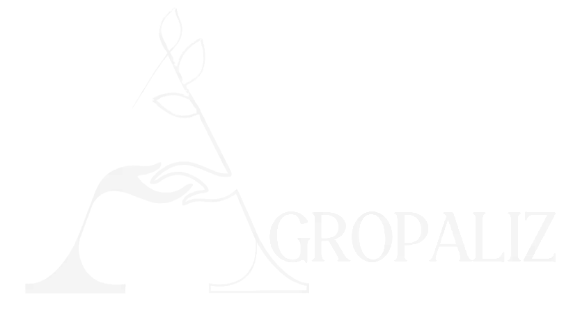 فروش پسته دامغان